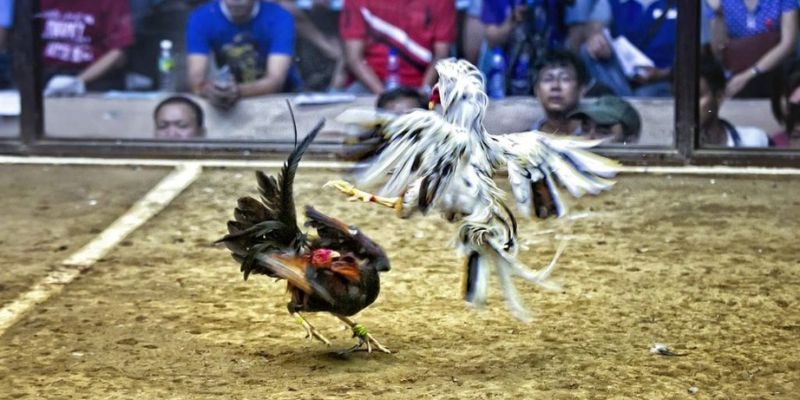 79king68 ﻿đăng nhập lô đề uy tín