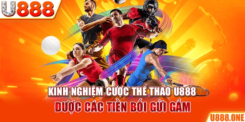 79king68 ÁT CHỦ BÀI GIÀNH LẤY ZHUANG NIUNIU ( XEM 3 LÁ )