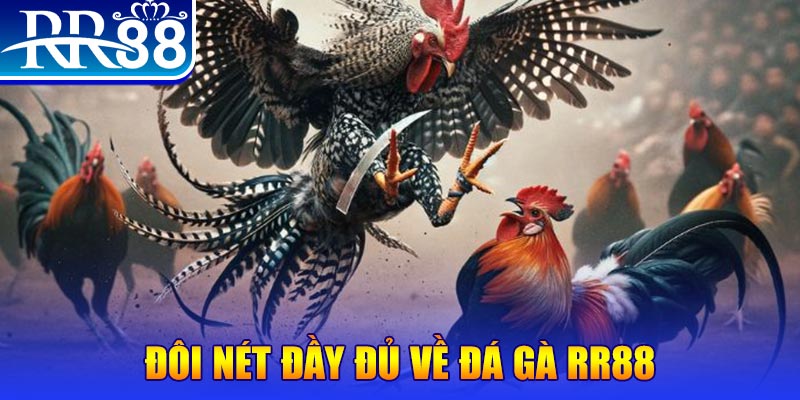 79king68 gà chọi hoà phong