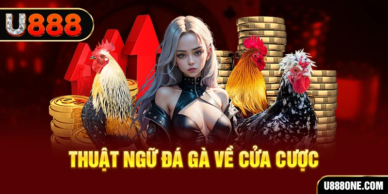 79king68 da ga 88