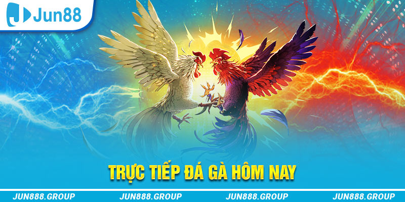 79king68 trực tiếp đá gà thomo