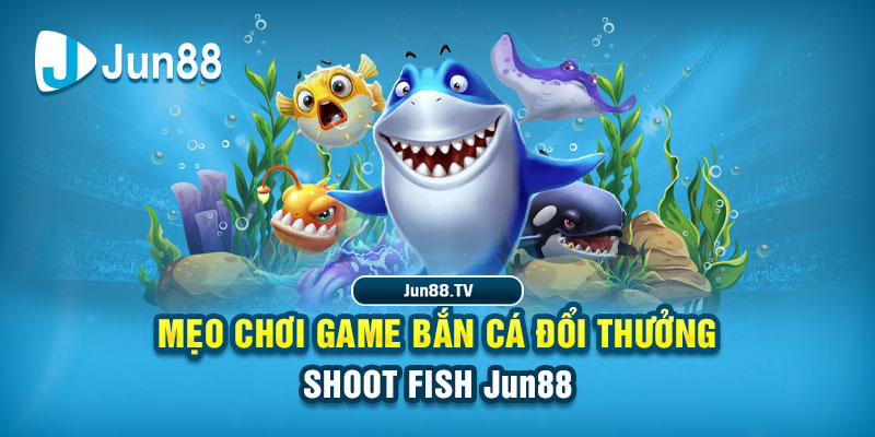79king68 tải game đánh bài online về máy tính