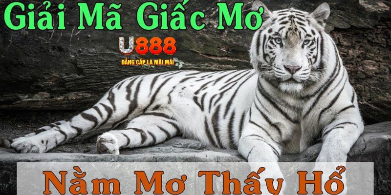 79king68 Bài Poker Joker