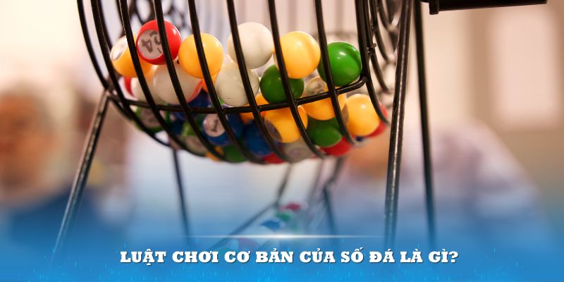 79king68 Đĩa màu ace