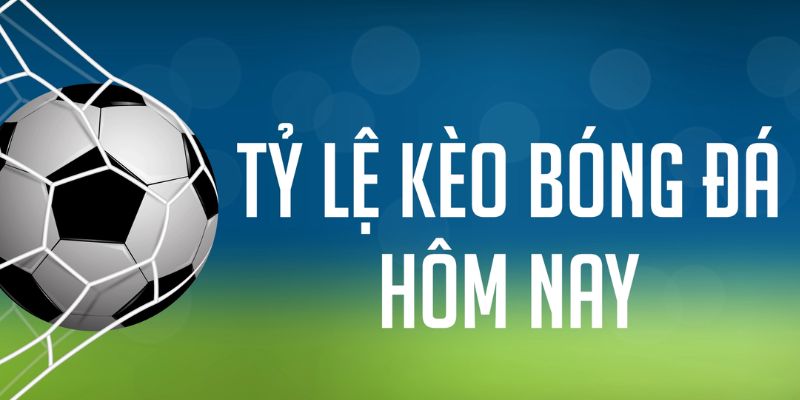 79king68 ÁT CHỦ MÁY HOA QUẢ THẦN TÀI