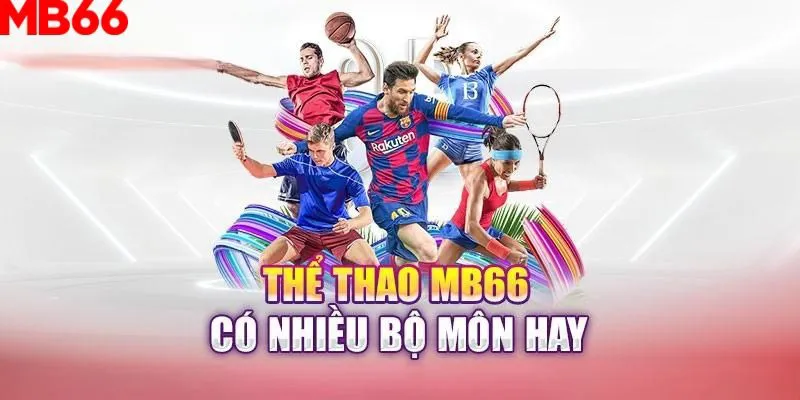 79king68 slot là gì nghĩa